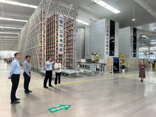鶴壁經濟技術開發區開展“一起益企”中小企業信息技術咨詢服務活動